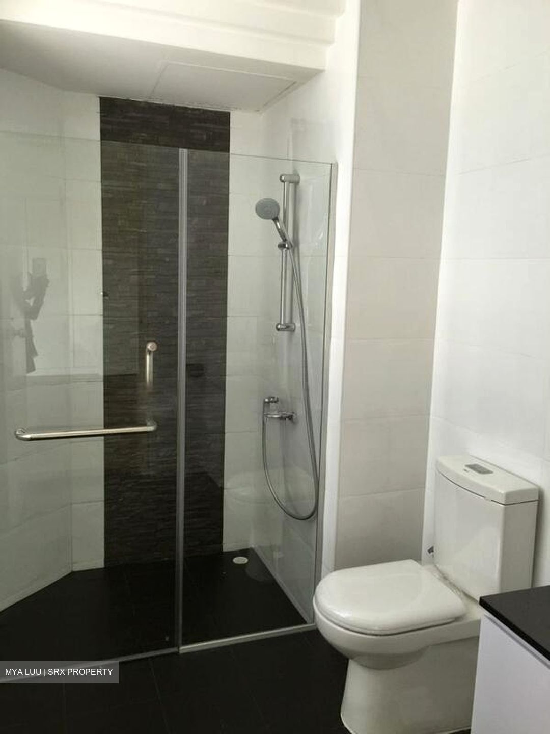 The Waterside (D15), Condominium #519255971